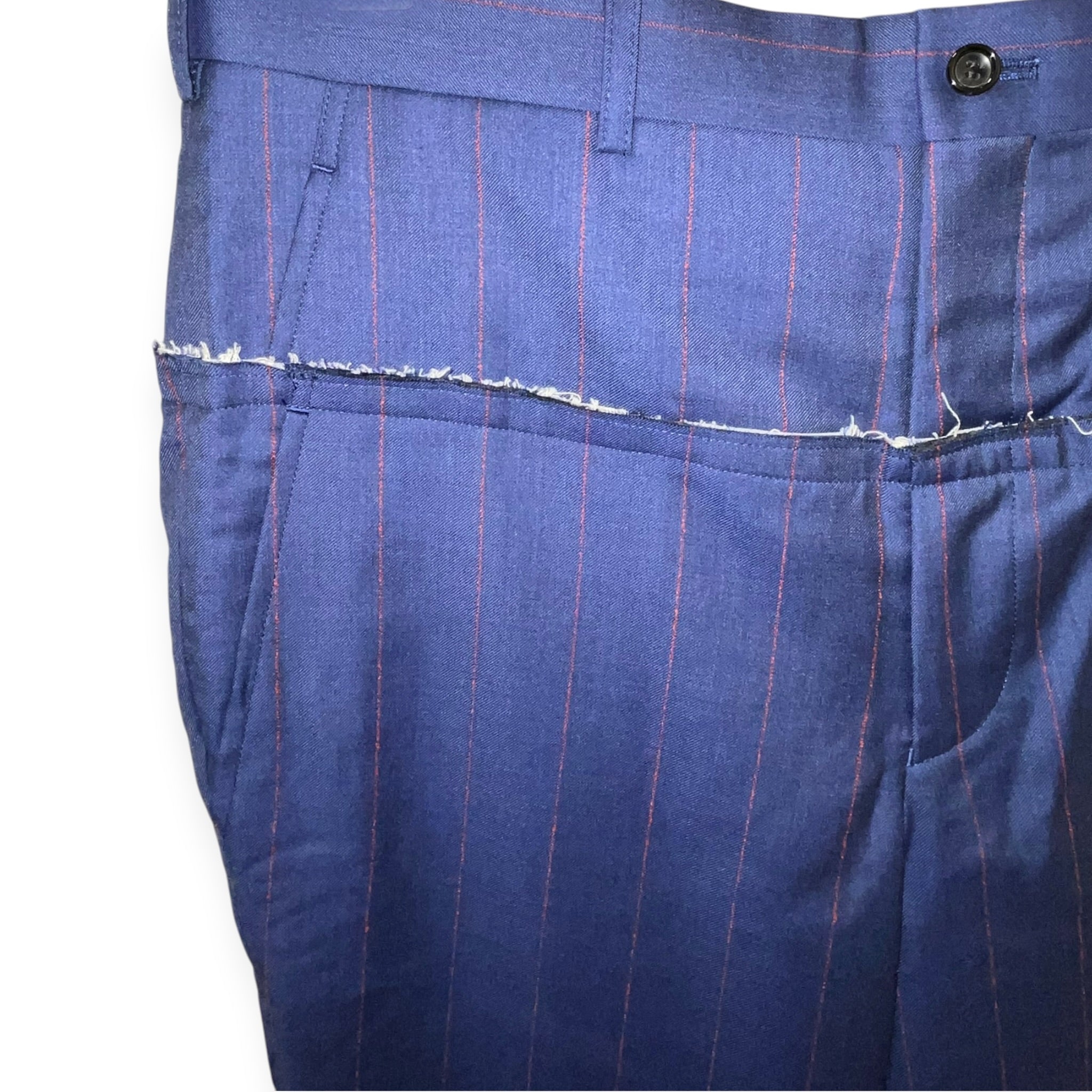 COMME des GARCONS HOMME PLUS/Slacks/M/Wool/BLU/Stripe/2020 PINSTRIPE HYBRID PANT view 2