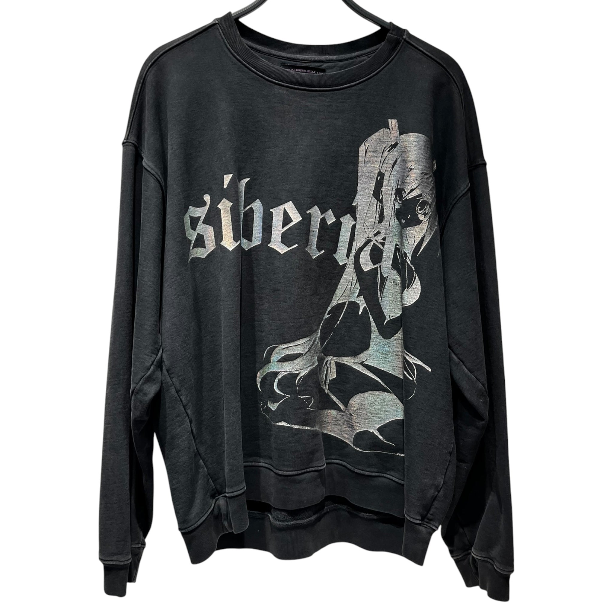 SIBERIA HILLS/Sweatshirt/L/Cotton/GRY/ view 1
