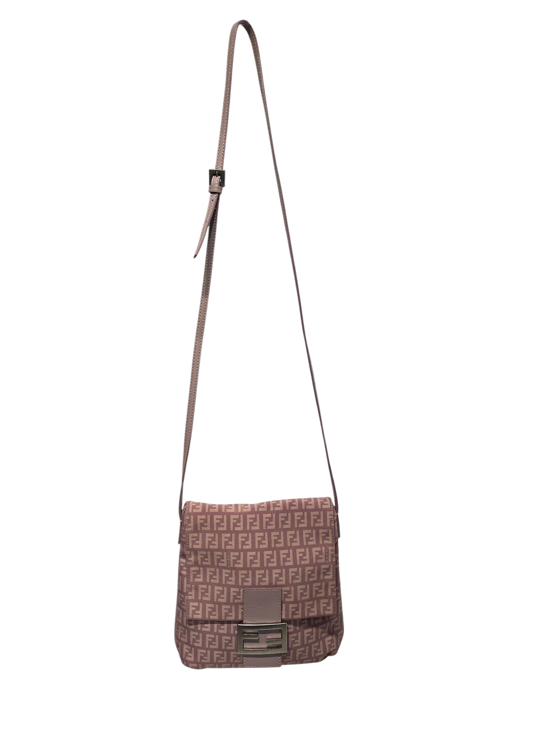 FENDI/Cross Body Bag/Monogram/PPL/ZUCCHINO CANVAS view 1