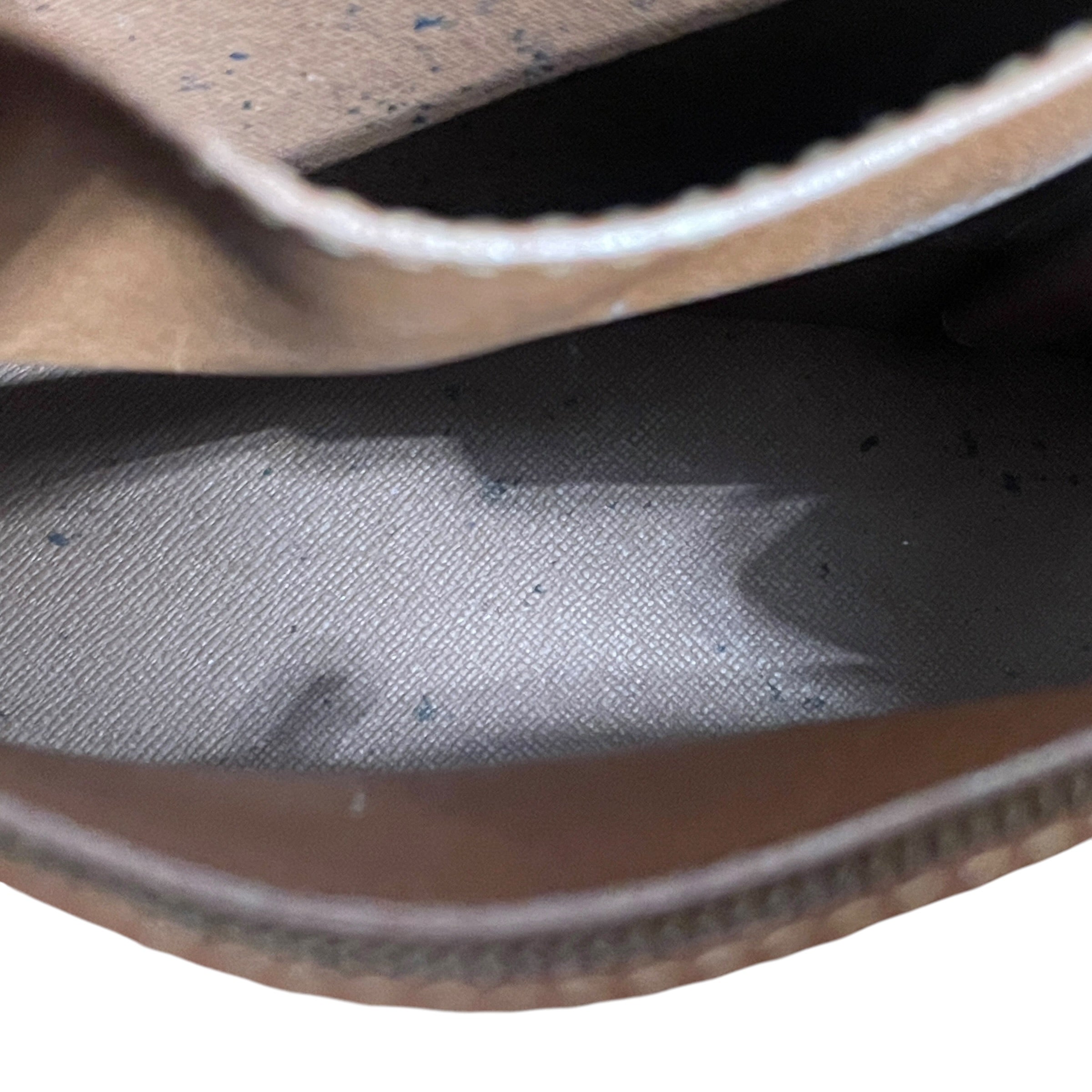LOUIS VUITTON/Bag/Monogram/Leather/BRW/Babylon view 8