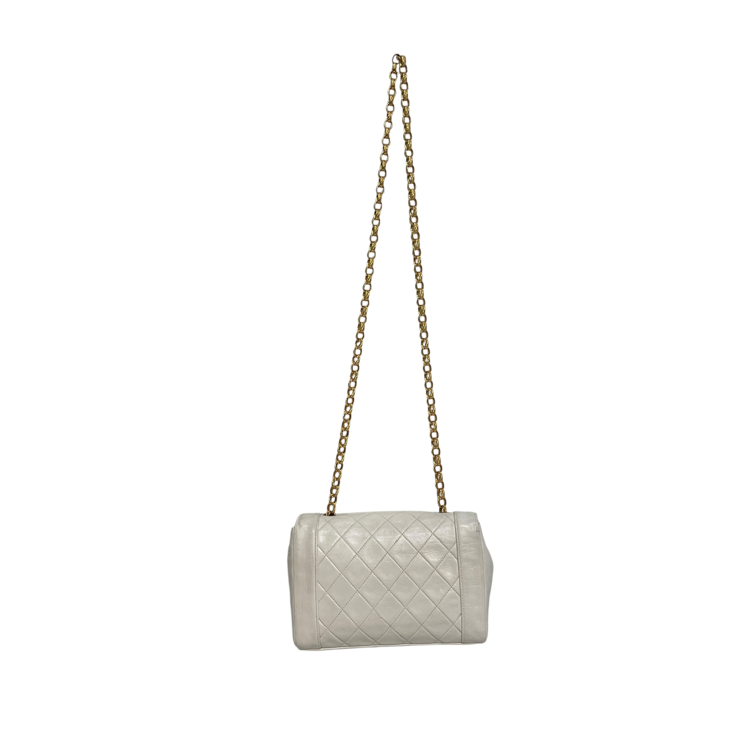 CHANEL/Bag/Leather/WHT/Diana CC view 2