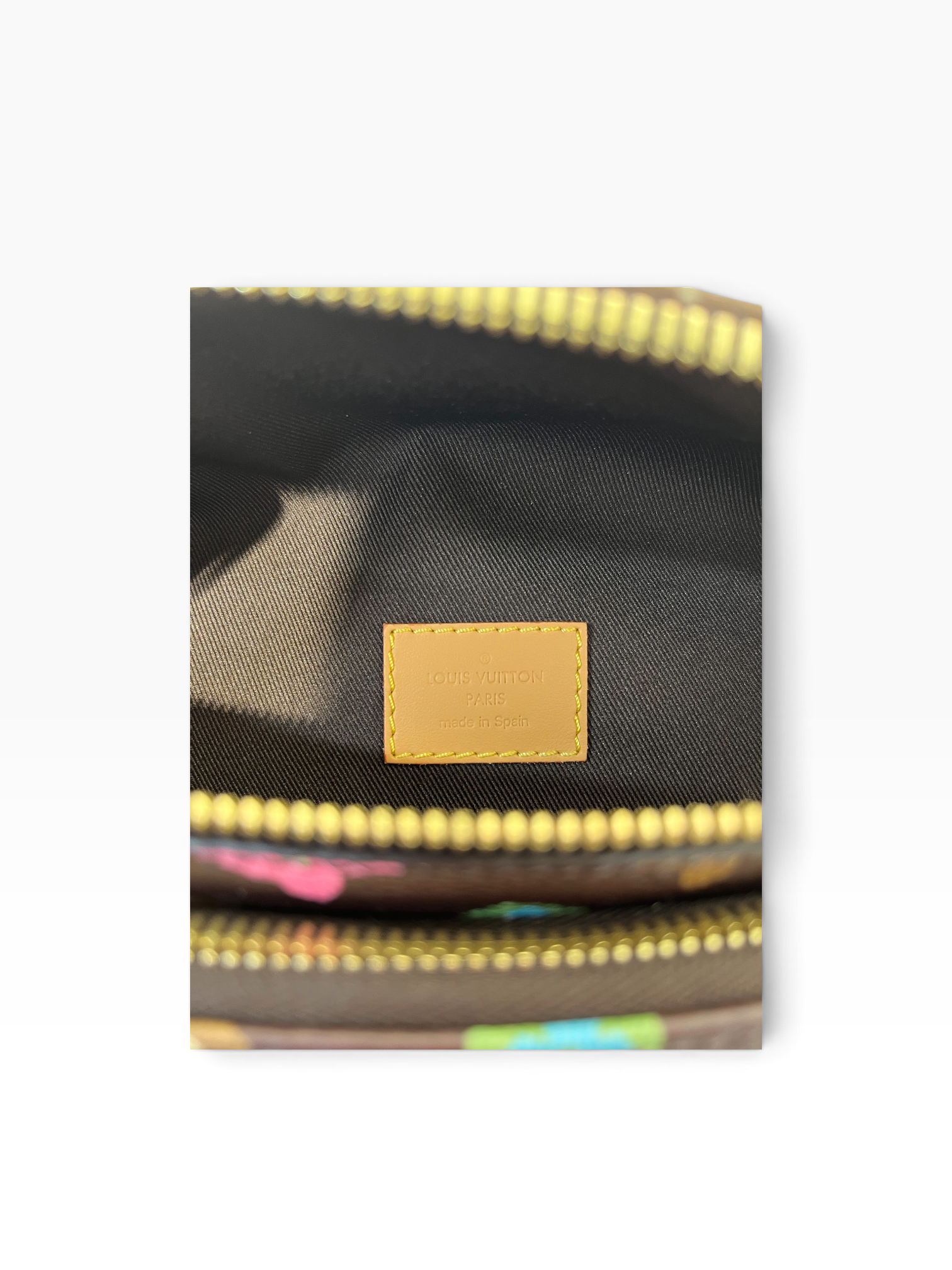 LOUIS VUITTON/Fanny Pack/Monogram/Leather/BRW/Tyler the Creator 2024 view 6