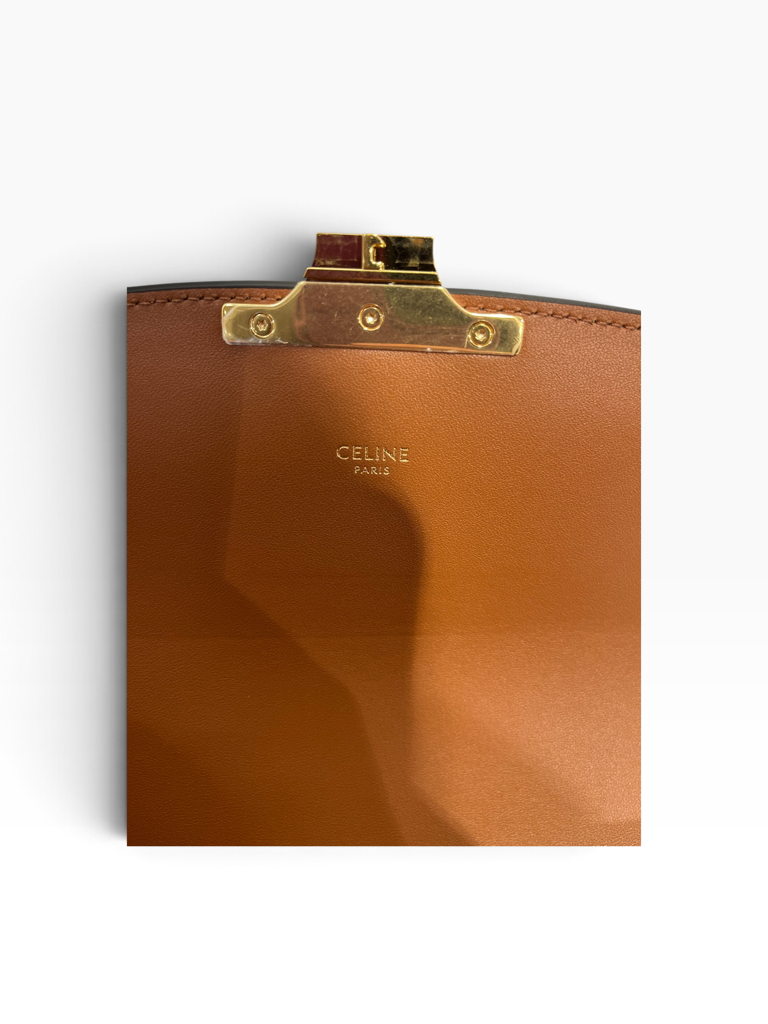 CELINE/Cross Body Bag/All Over Print/Leather/BRW/Triomphe Bag view 8
