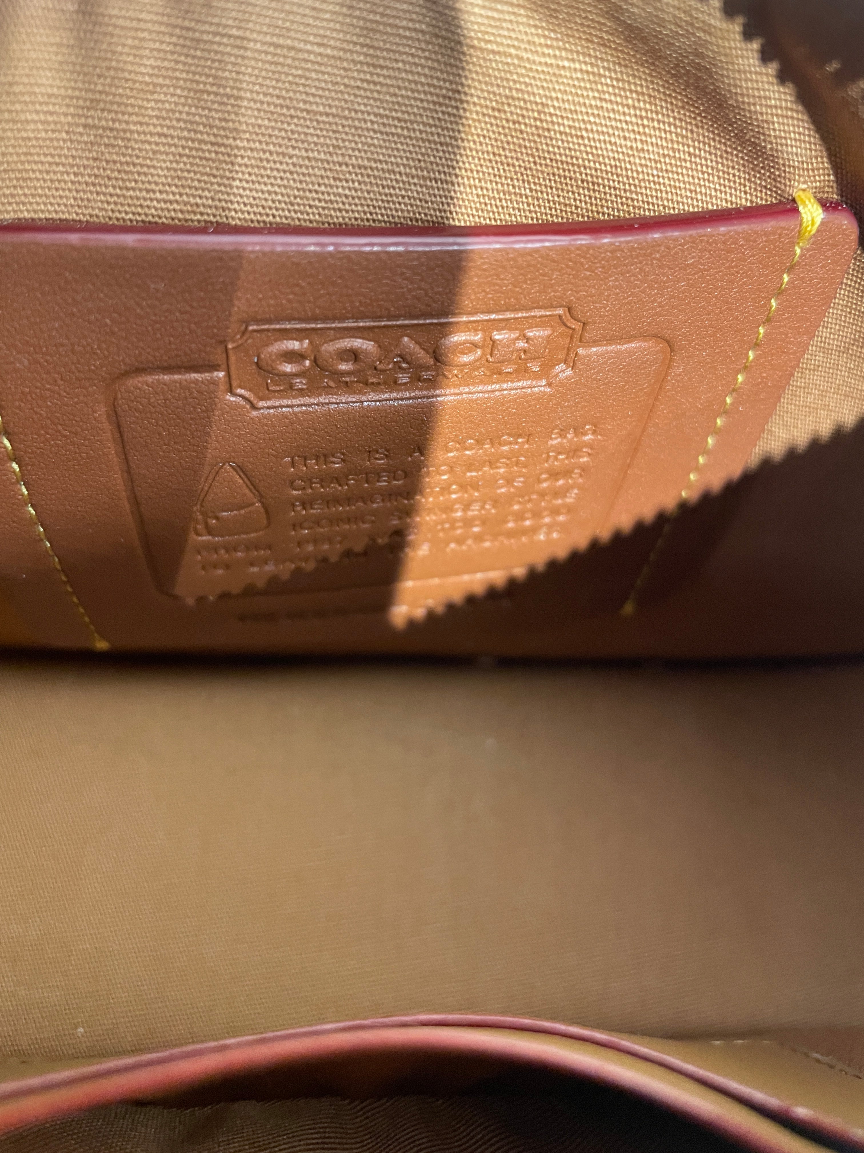 COACH/Cross Body Bag/Iridescent/Acrylic/BEG/SWINGER 20 view 3