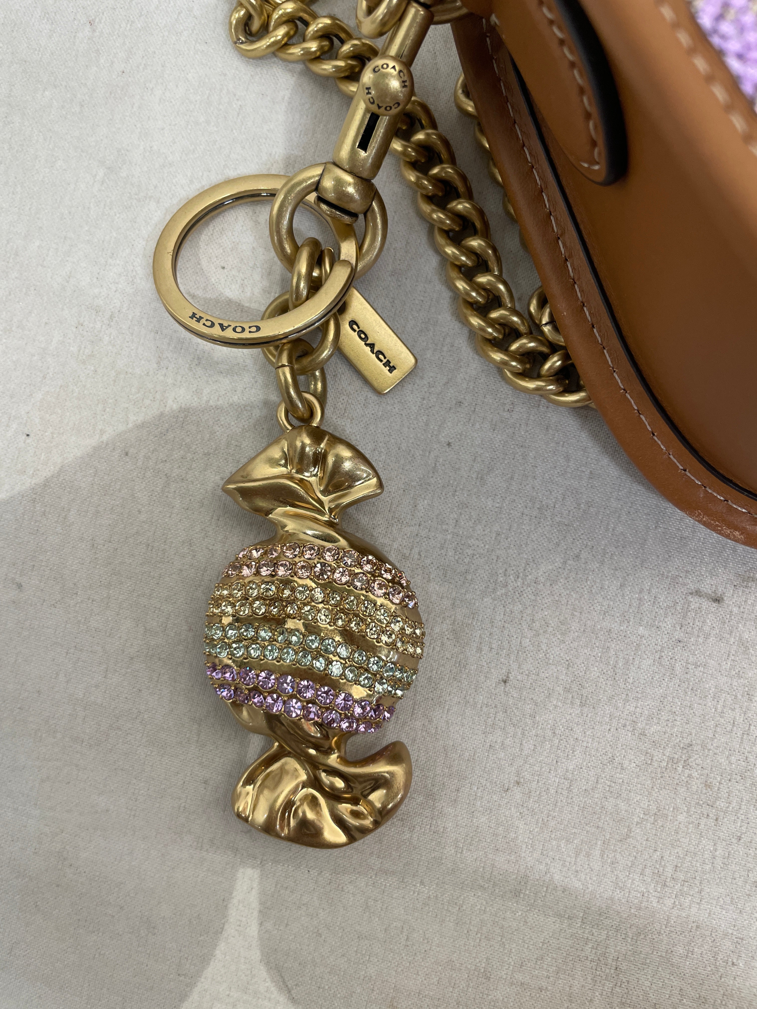 COACH/Cross Body Bag/Iridescent/Acrylic/BEG/SWINGER 20 view 5