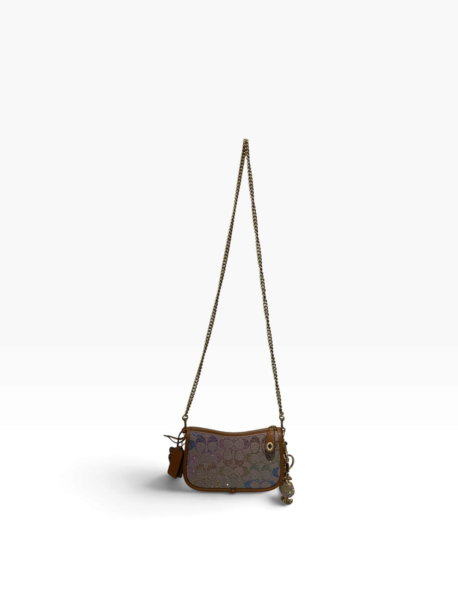 COACH/Cross Body Bag/Iridescent/Acrylic/BEG/SWINGER 20 view 1