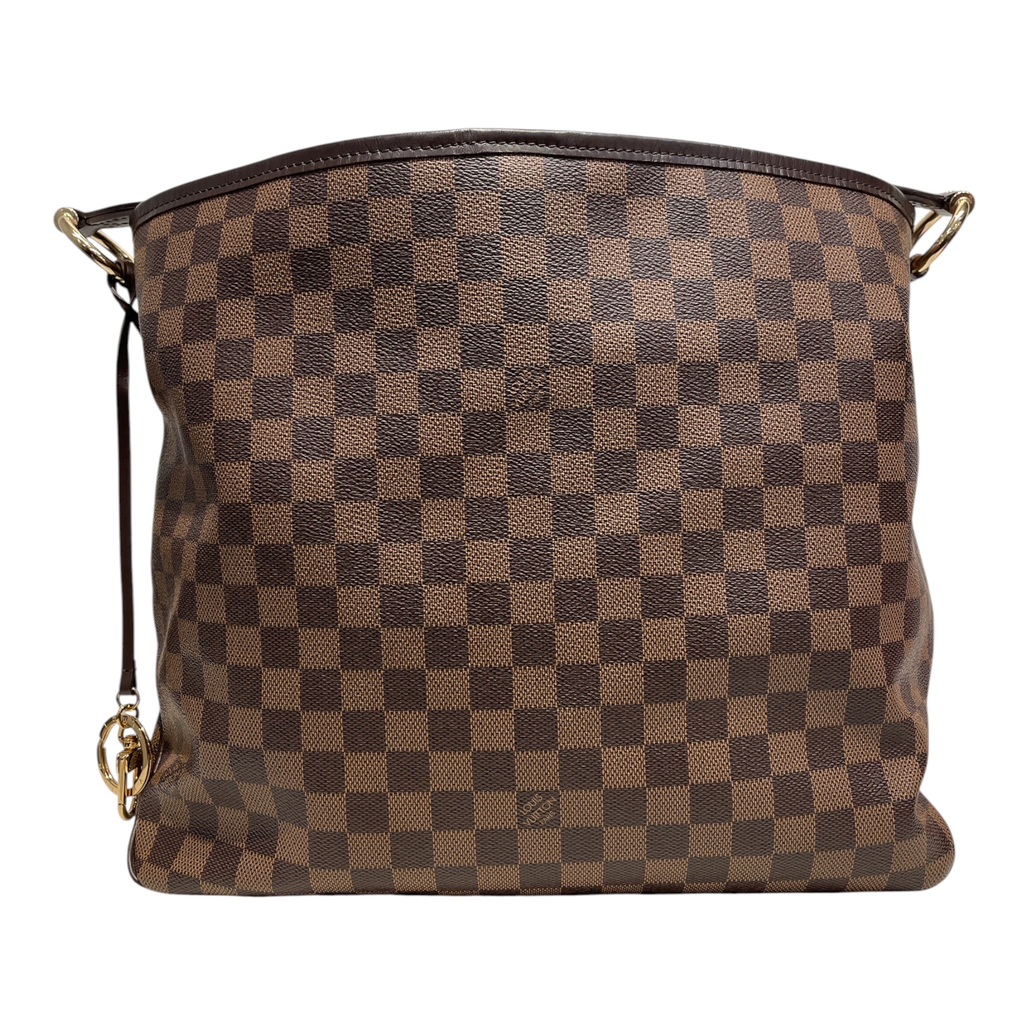 LOUIS VUITTON/Hand Bag/All Over Print/BRW/damier delighful hobo SD1147 view 1