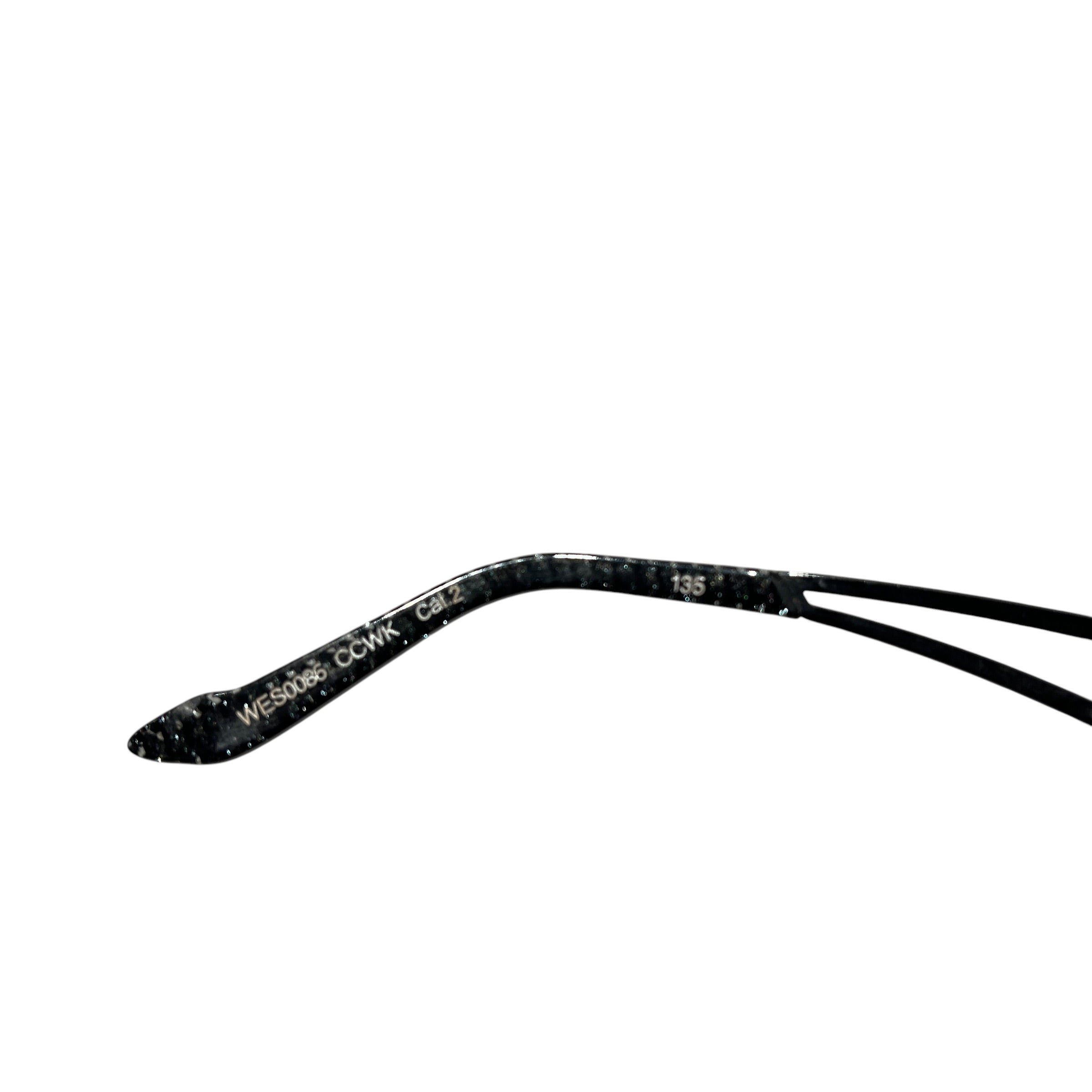 PHILIPP PLEIN/Sunglasses/Celluloid/BLK/M's/FLAMINGO view 2
