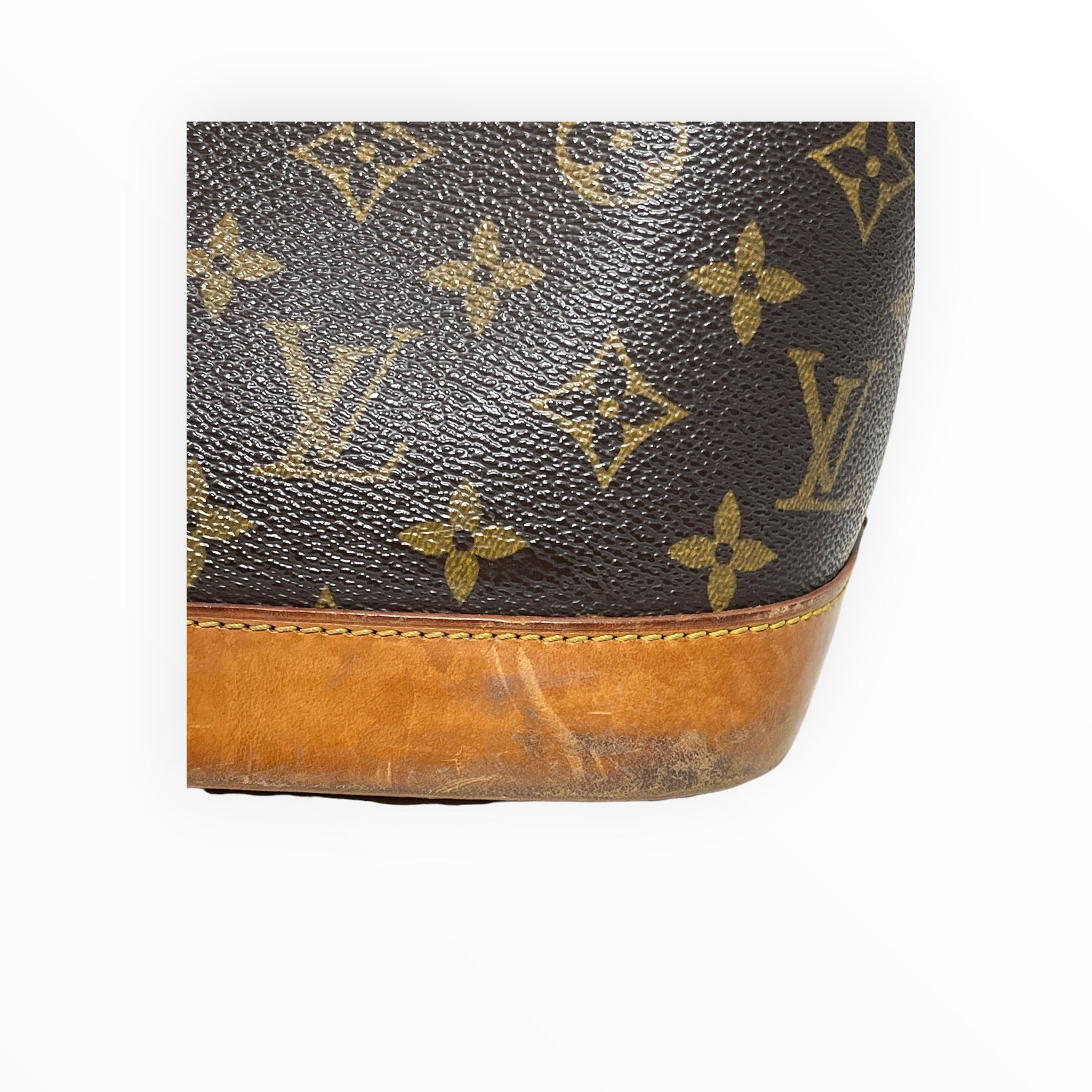 LOUIS VUITTON/Tote Bag/Monogram/Leather/BRW/Alma PM view 4