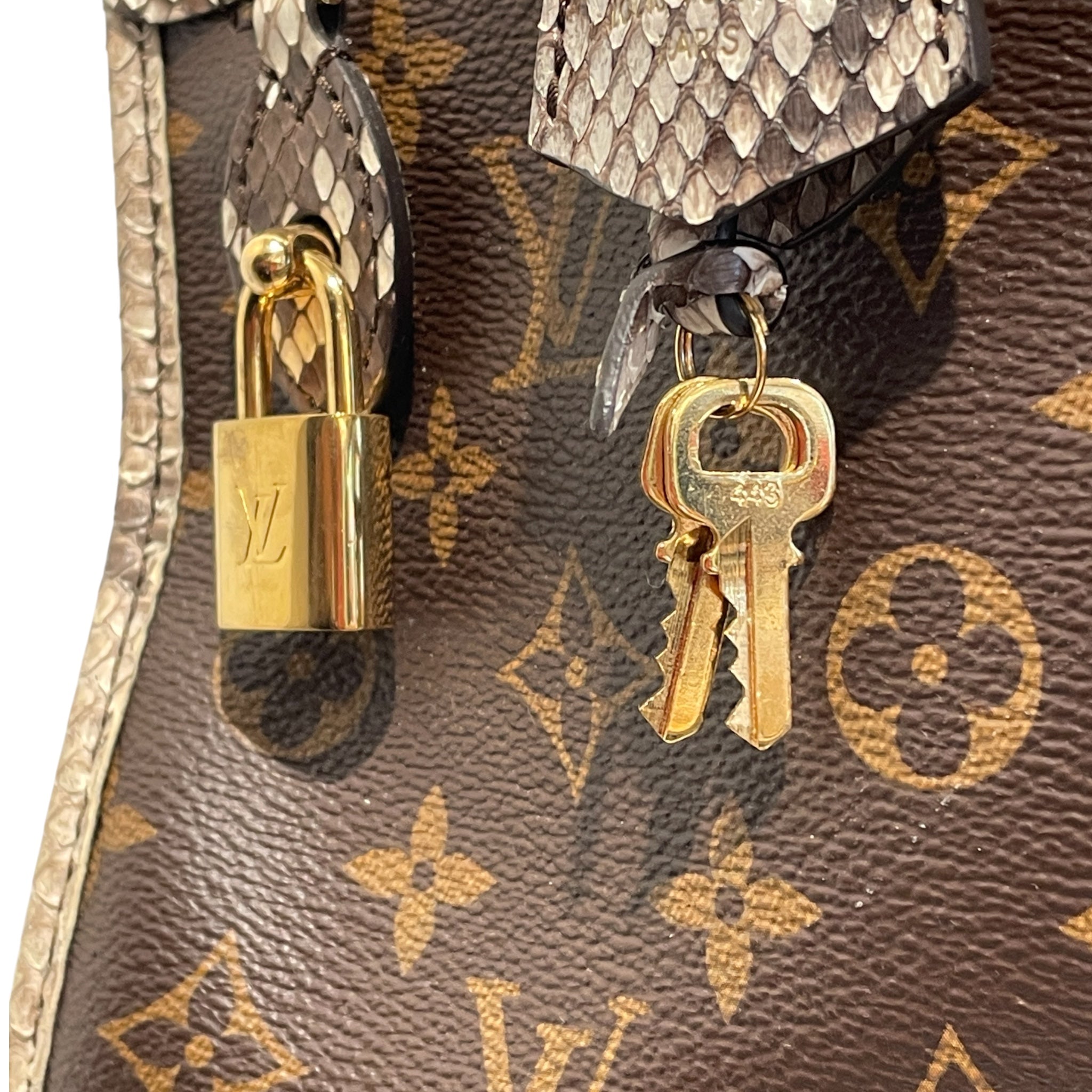 LOUIS VUITTON/Bag/Monogram/Leather/BRW/popincourt python view 5