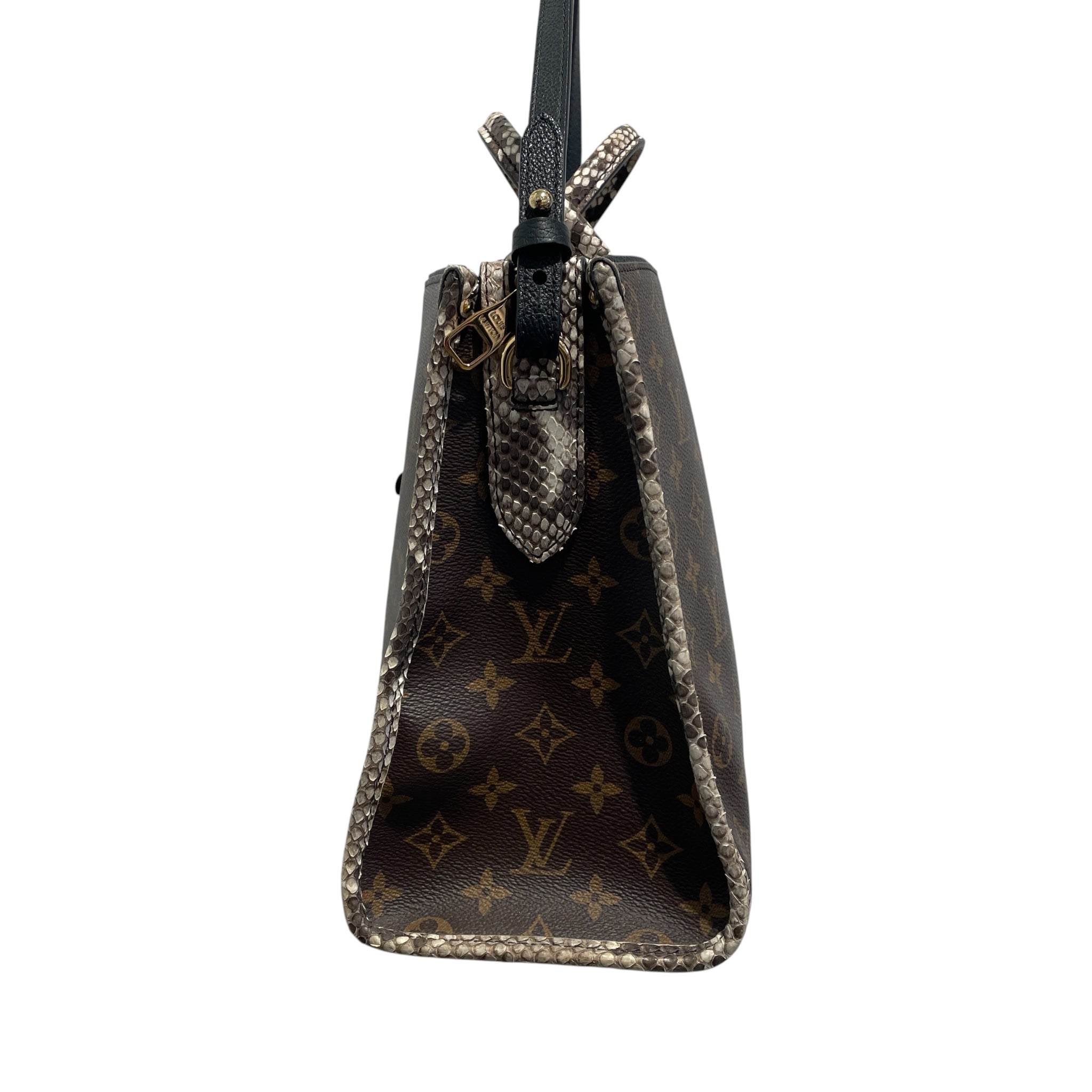 LOUIS VUITTON/Bag/Monogram/Leather/BRW/popincourt python view 4