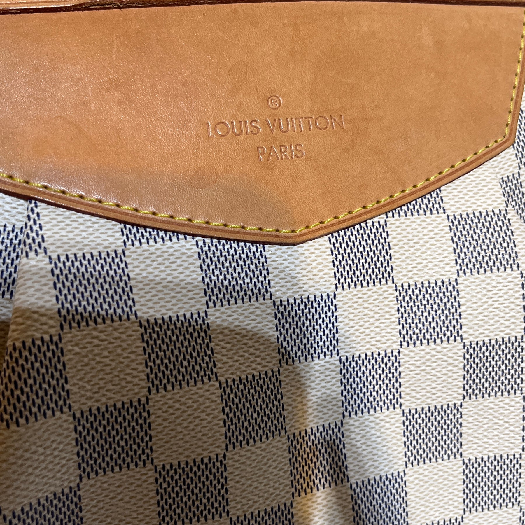 Louis Vuitton SIRACUSA GM  Louis vuitton, Louis vuitton bag, Cowhide  handbags