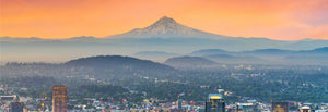 view of downtown portland