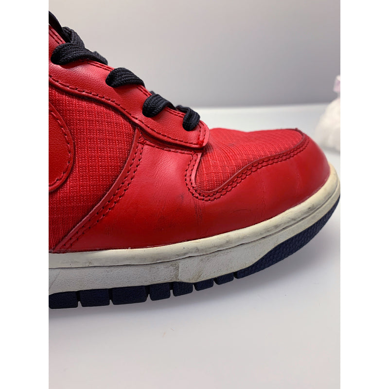 NIKE/DUNK HIGH/Hi-Sneakers/US10/RED